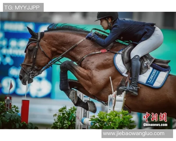 马术场地障碍赛晋级之路探秘如何在赛场上脱颖而出